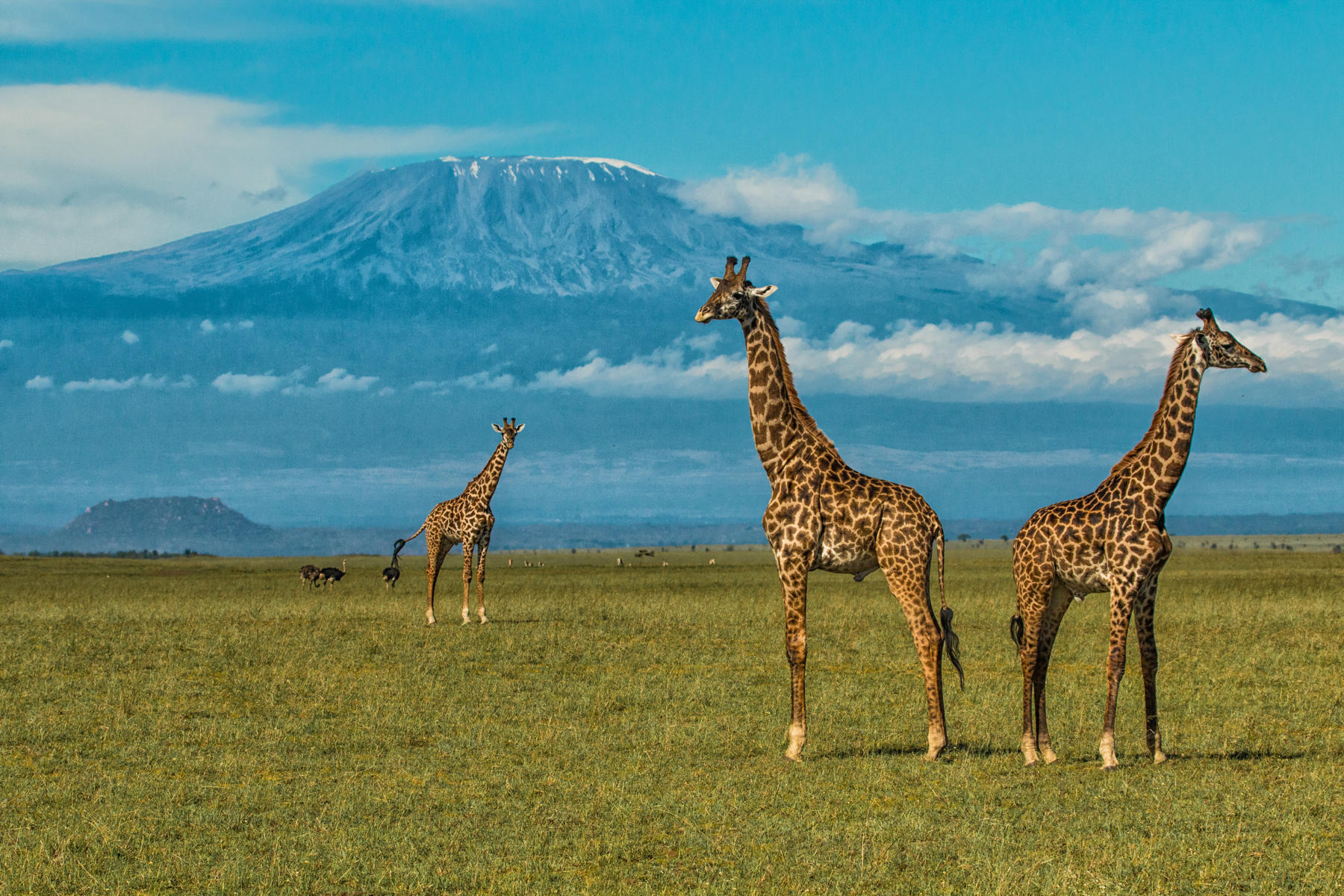 Mount Kilimanjaro.