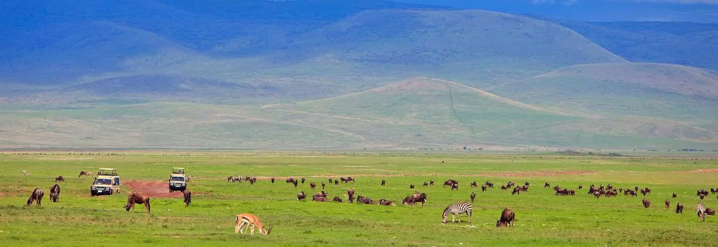 Ngorongoro