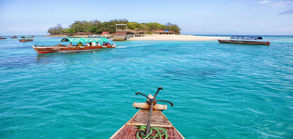 Safari Blue, Zanzibar